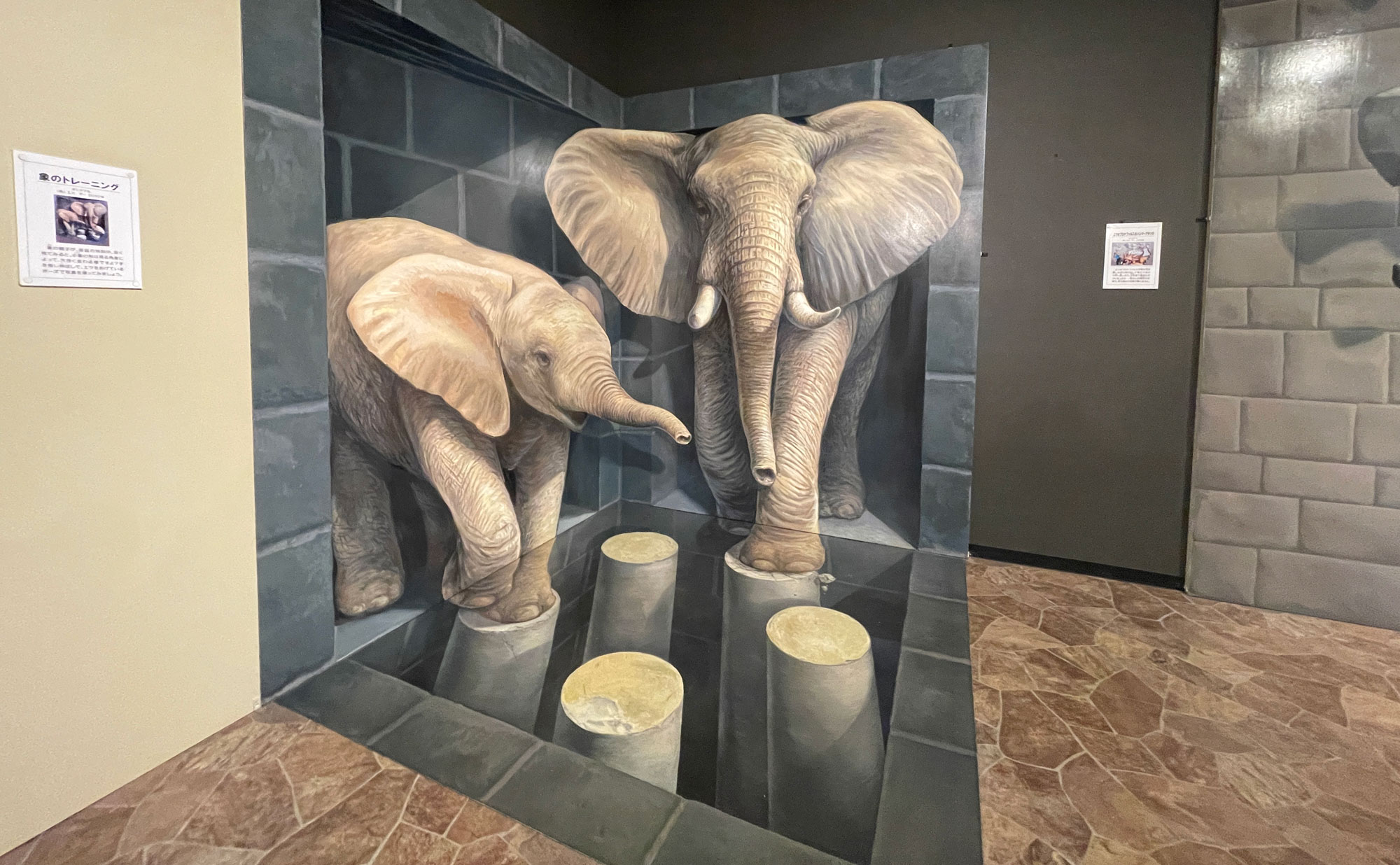 熱海観光局-熱海トリックアート迷宮館の象