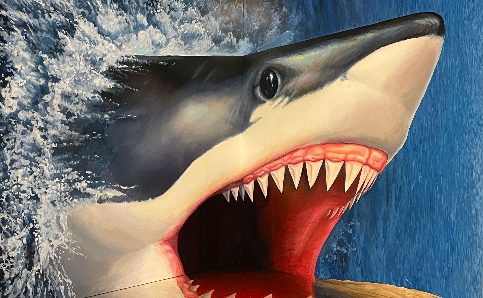 熱海観光局-熱海トリックアート迷宮館のサメ