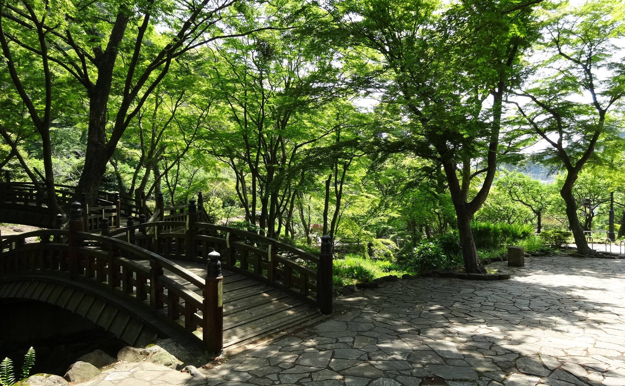 Atami plum garden bridge