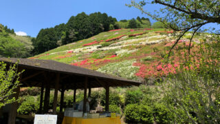 熱海観光局-姫の沢公園花の斜面